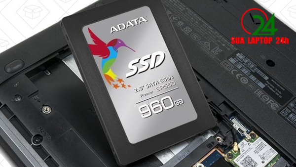 Nhận thay nhanh ổ cứng SSD cũ giá rẻ độ bền cao